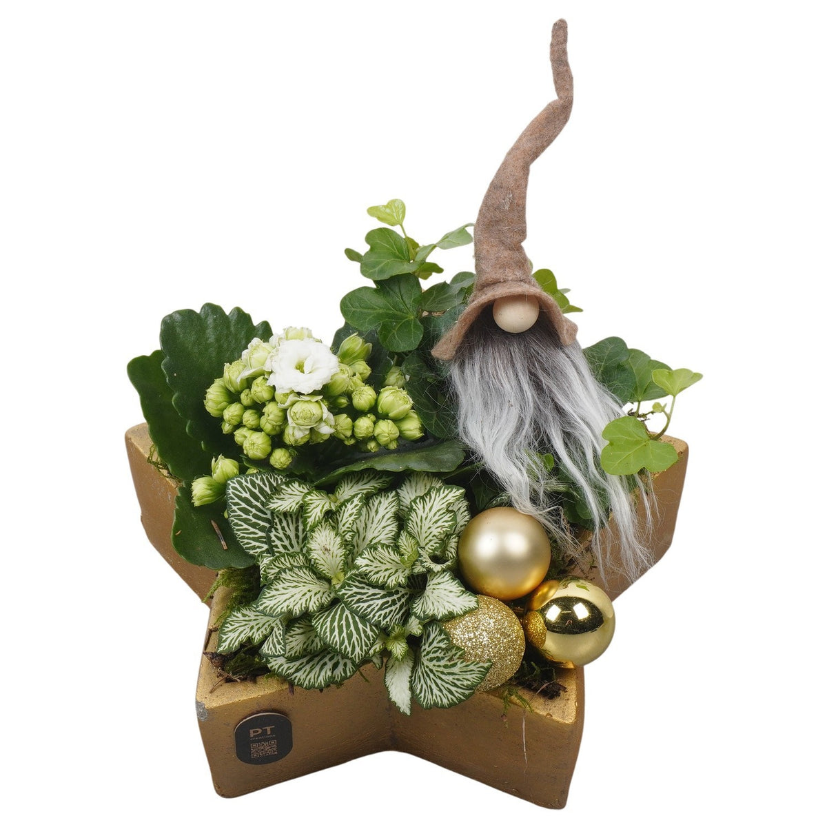 Christmas arrangement 19cm 20cm Pot