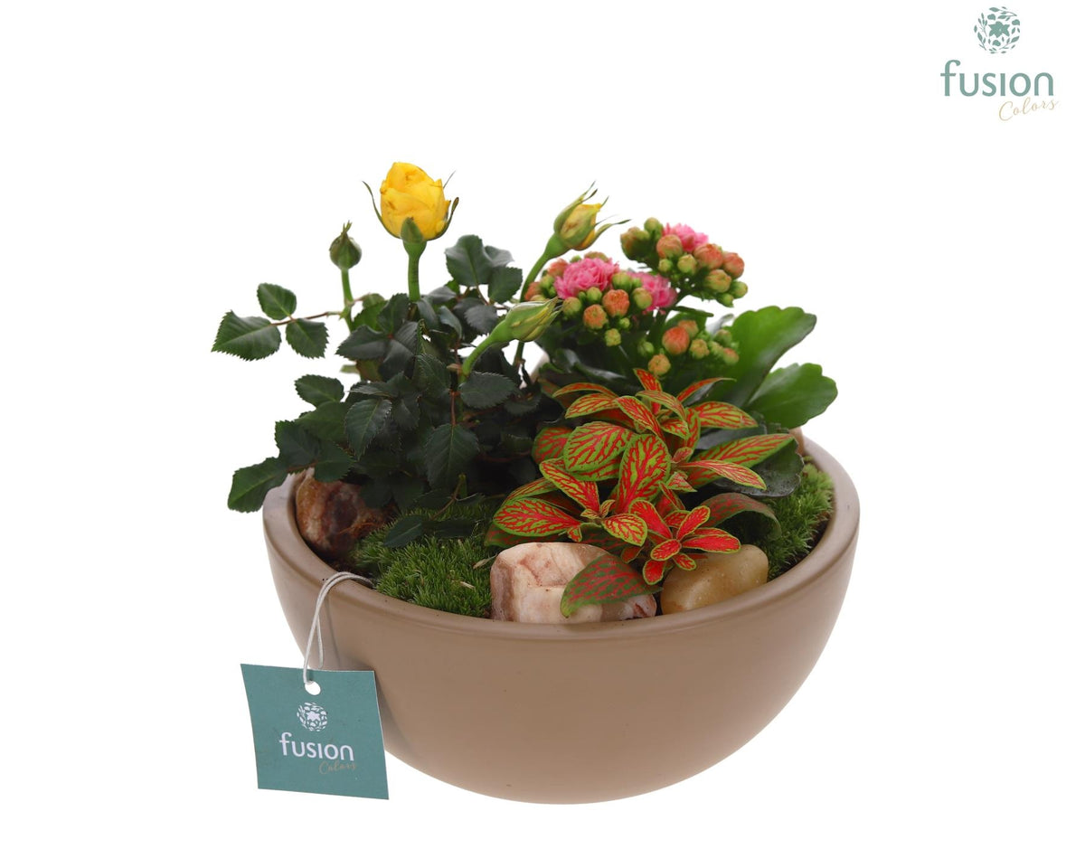 Keramiek moonschaal Medium beige met arrangement 20cm 18cm Pot