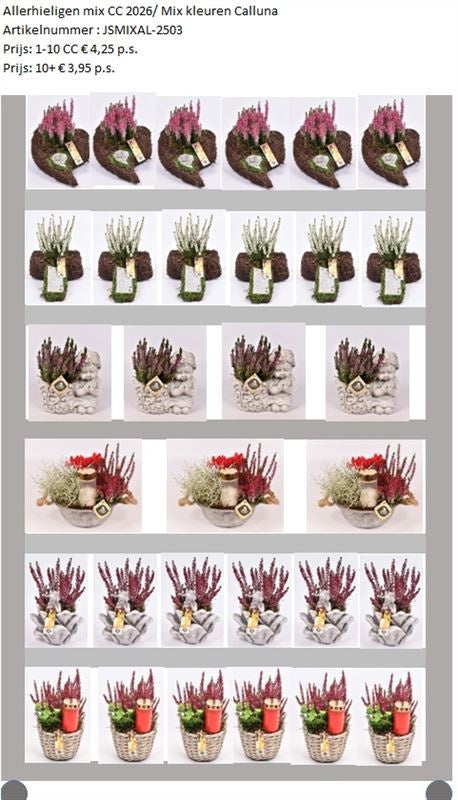 arr. all saints day 999cm Pot