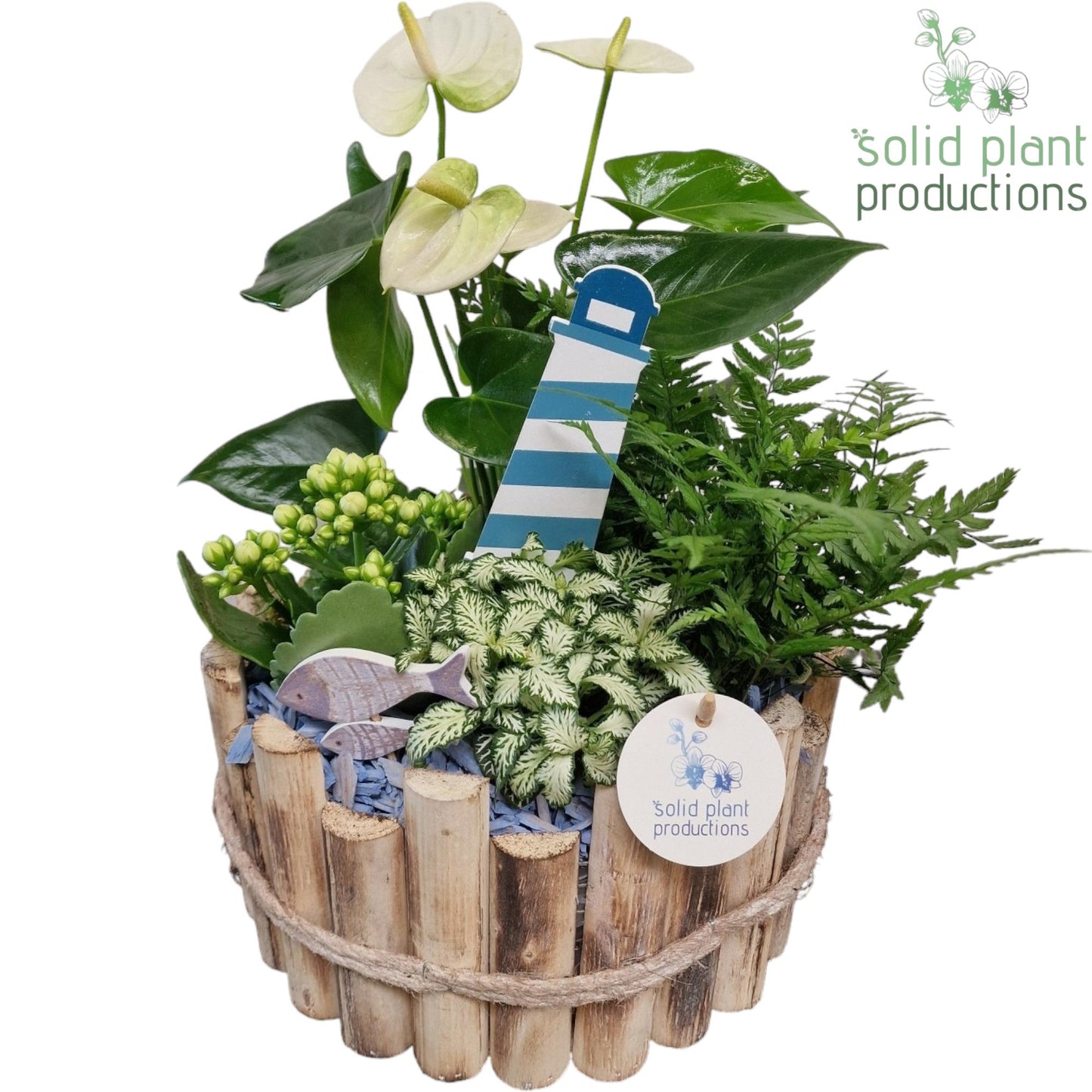 Solid Plant Productions HAT002 Milano Large Maritiem Pack of 2