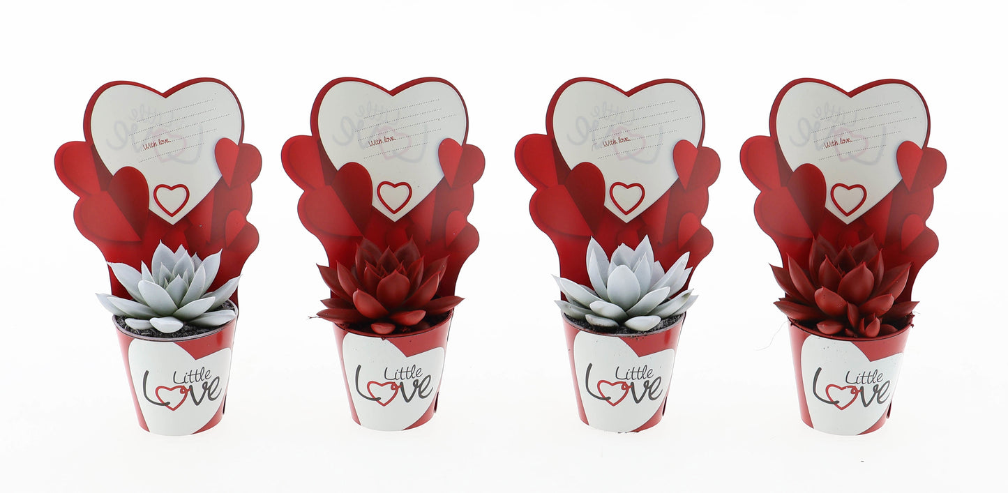 Potcover little love miranda rood/wit 8cm 505cm Pot