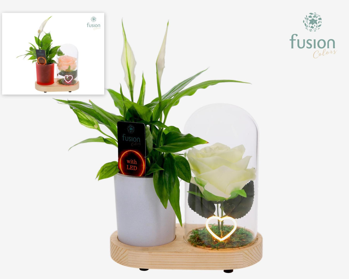LED Lichtbal Hart houten planter met Spathiphyllum 29cm 17cm Pot