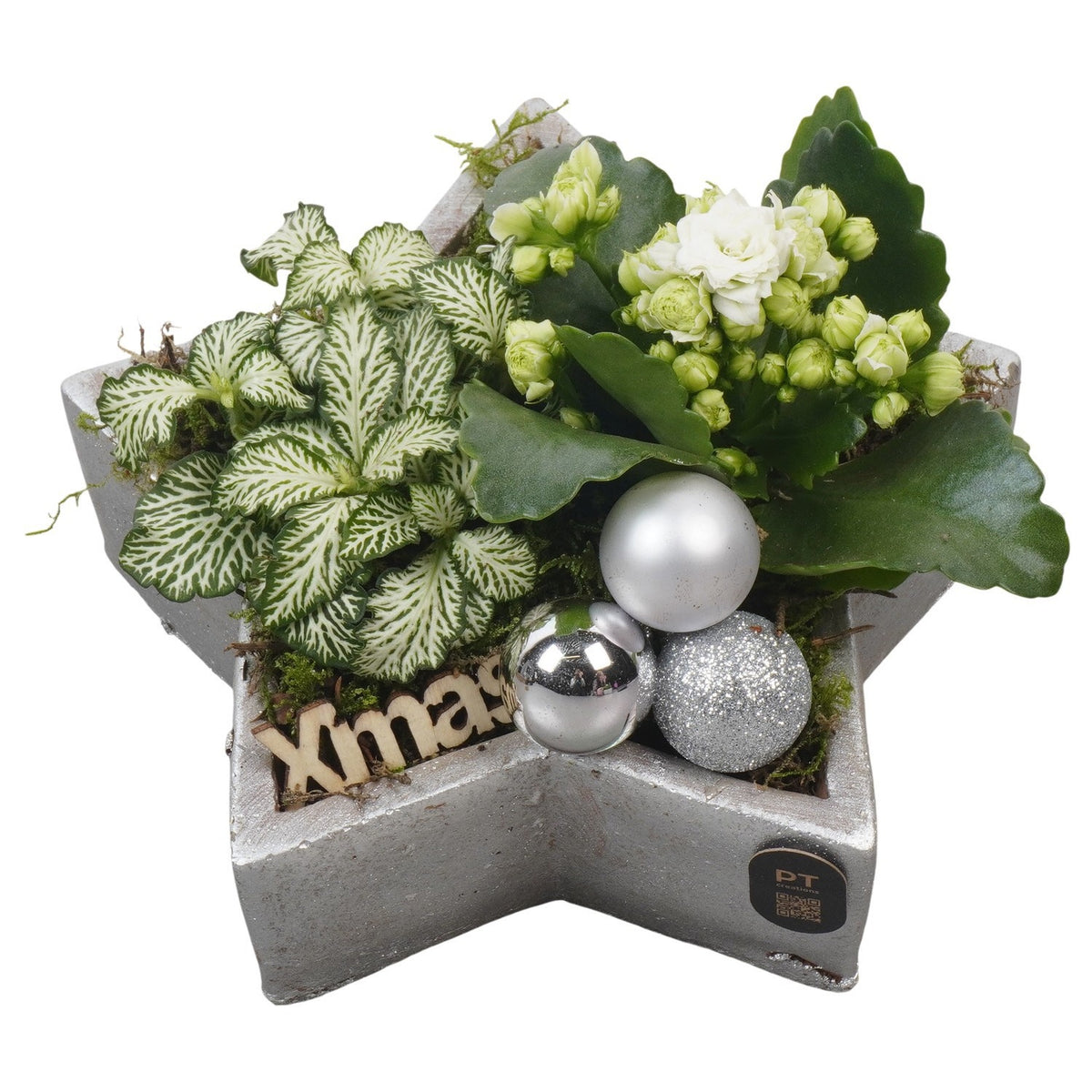 Christmas arrangement 14cm 20cm Pot