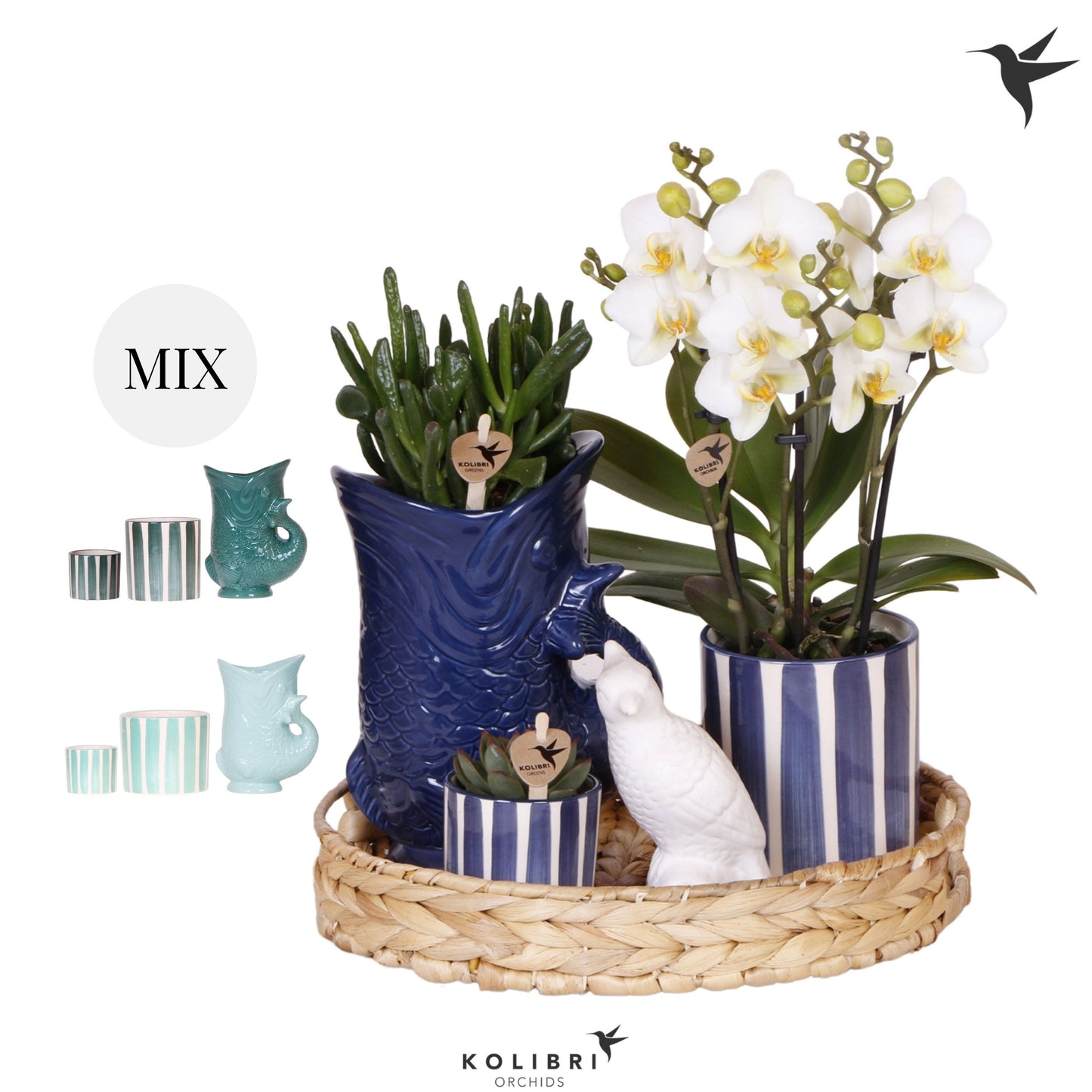 Kolibri Gift Set Mediterranean Sunset blue green mix 40cm 30cm Pot