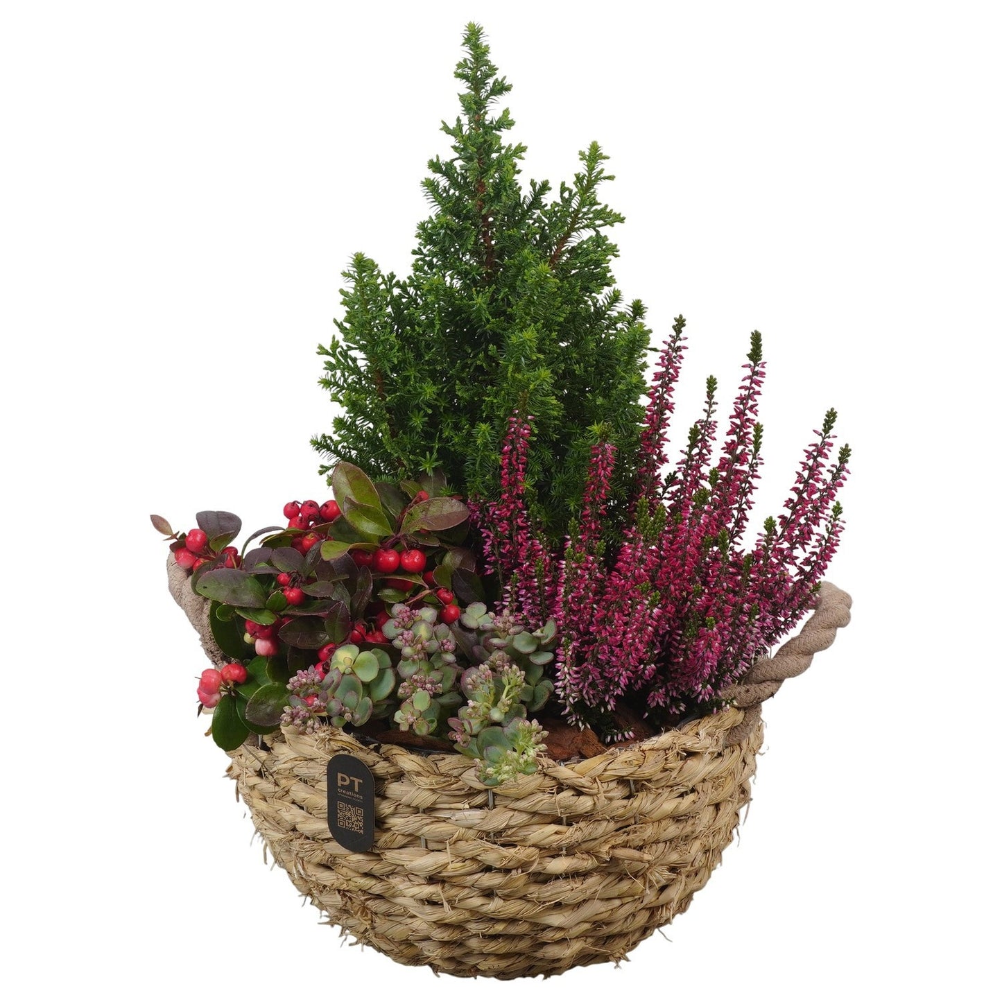 Outdoor arrangement 44cm 28cm Pot
