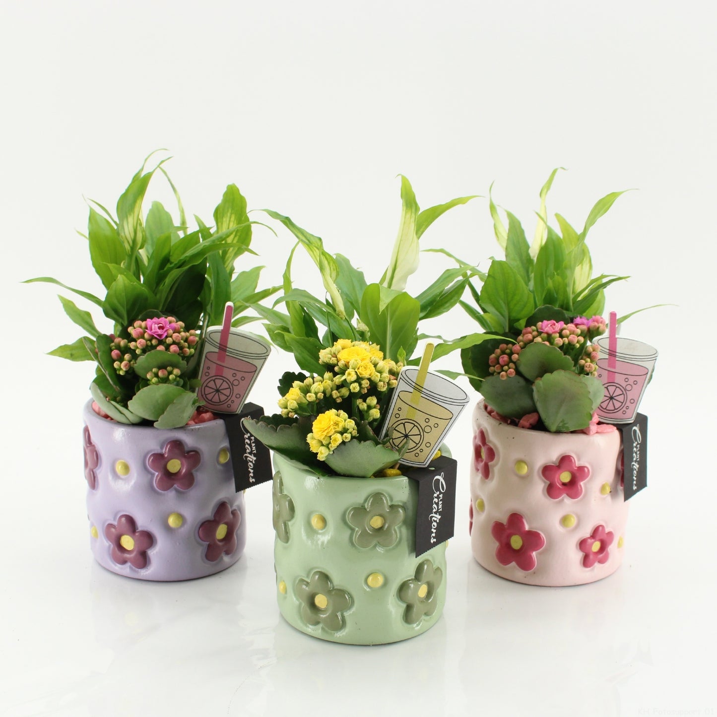 SECR-2613 Summer Essentials Colors 25cm 11cm Pot