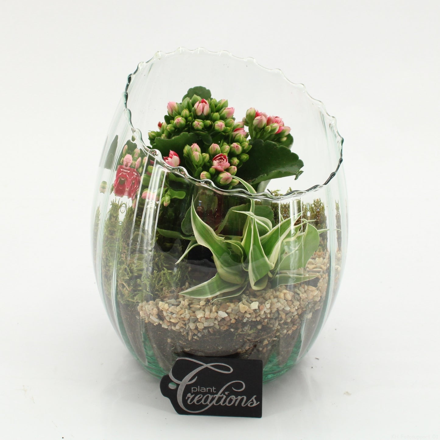 ESCR-2626RZ Essentials 20cm 16cm Pot