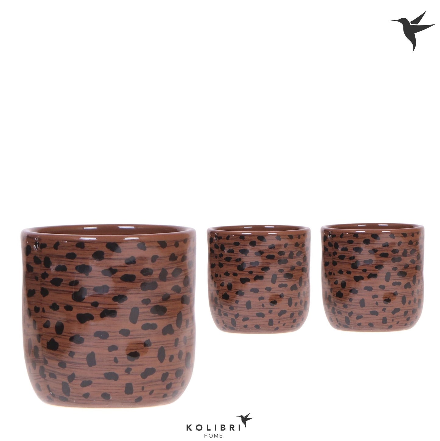 OK Plant Kolibri Home Leopard pot Pack of 8