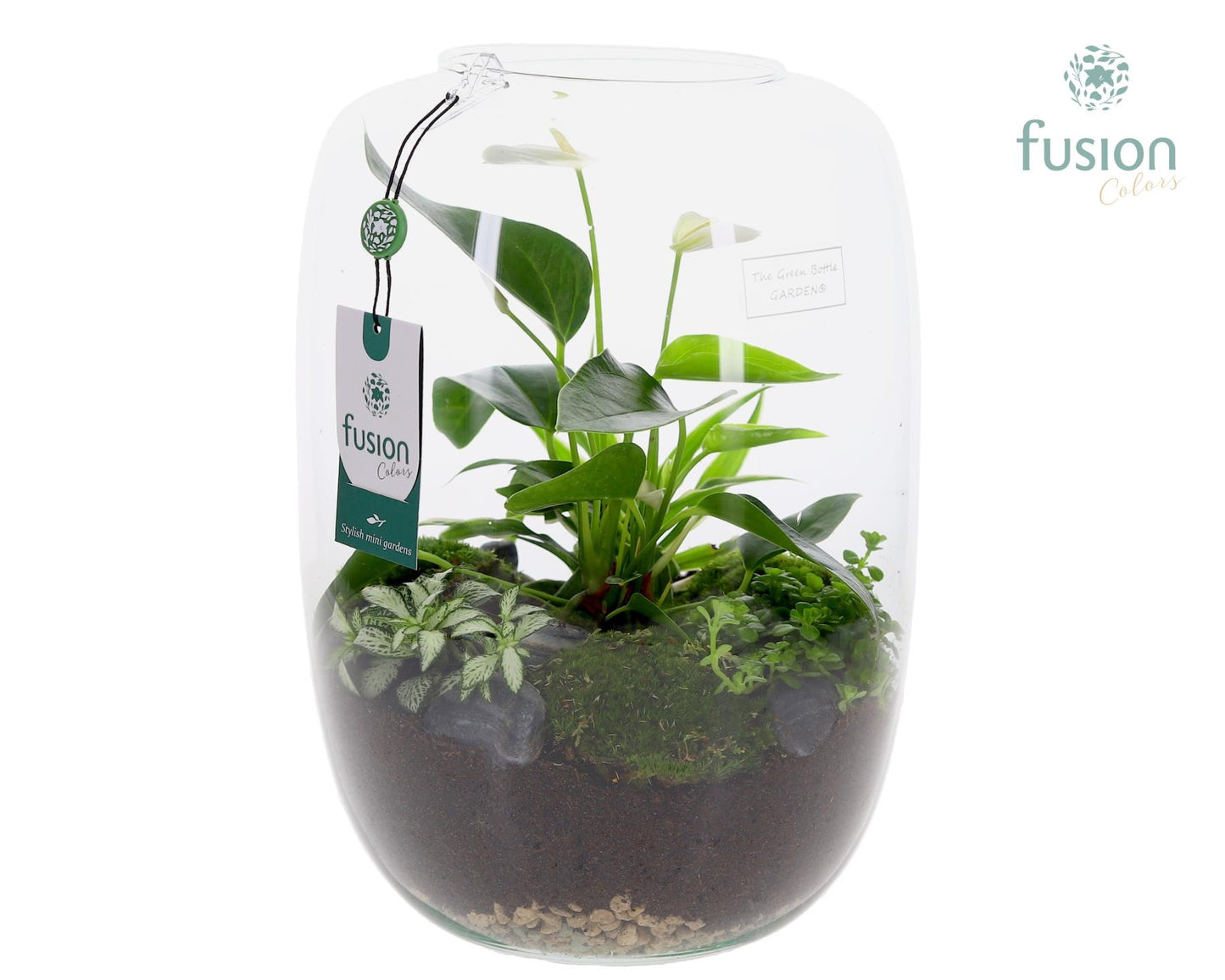 Fusioncolors BV Green Bottle Isabella XLarge met Anthurium arrangement Pack of 2