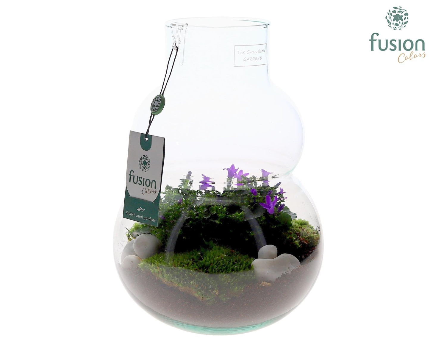 Green Bottle Olaf Medium met Campanula 24uur levertijd 29cm 21cm Pot