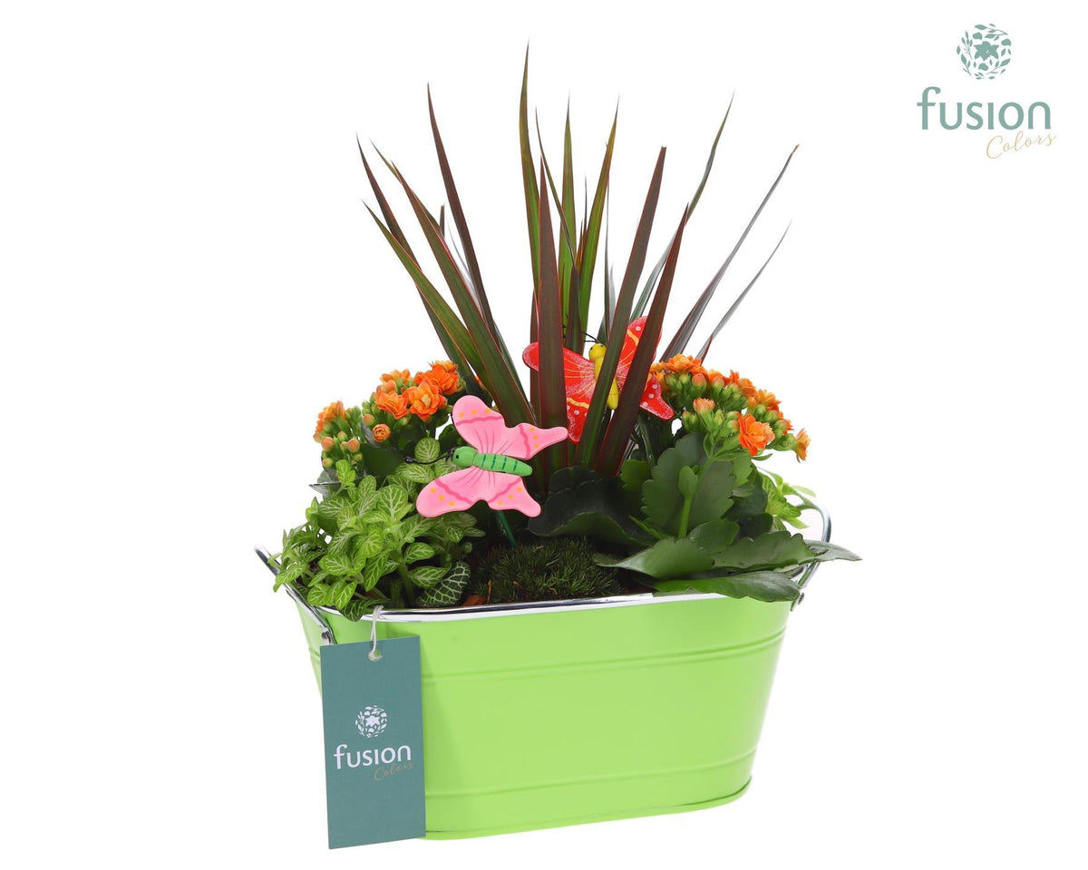 Zinken schaal ovaal met Arrangement 35cm 25cm Pot