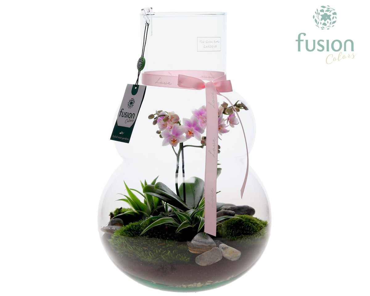 Green Bottle Olaf Large met Moederdag arrangement 43cm 26cm Pot
