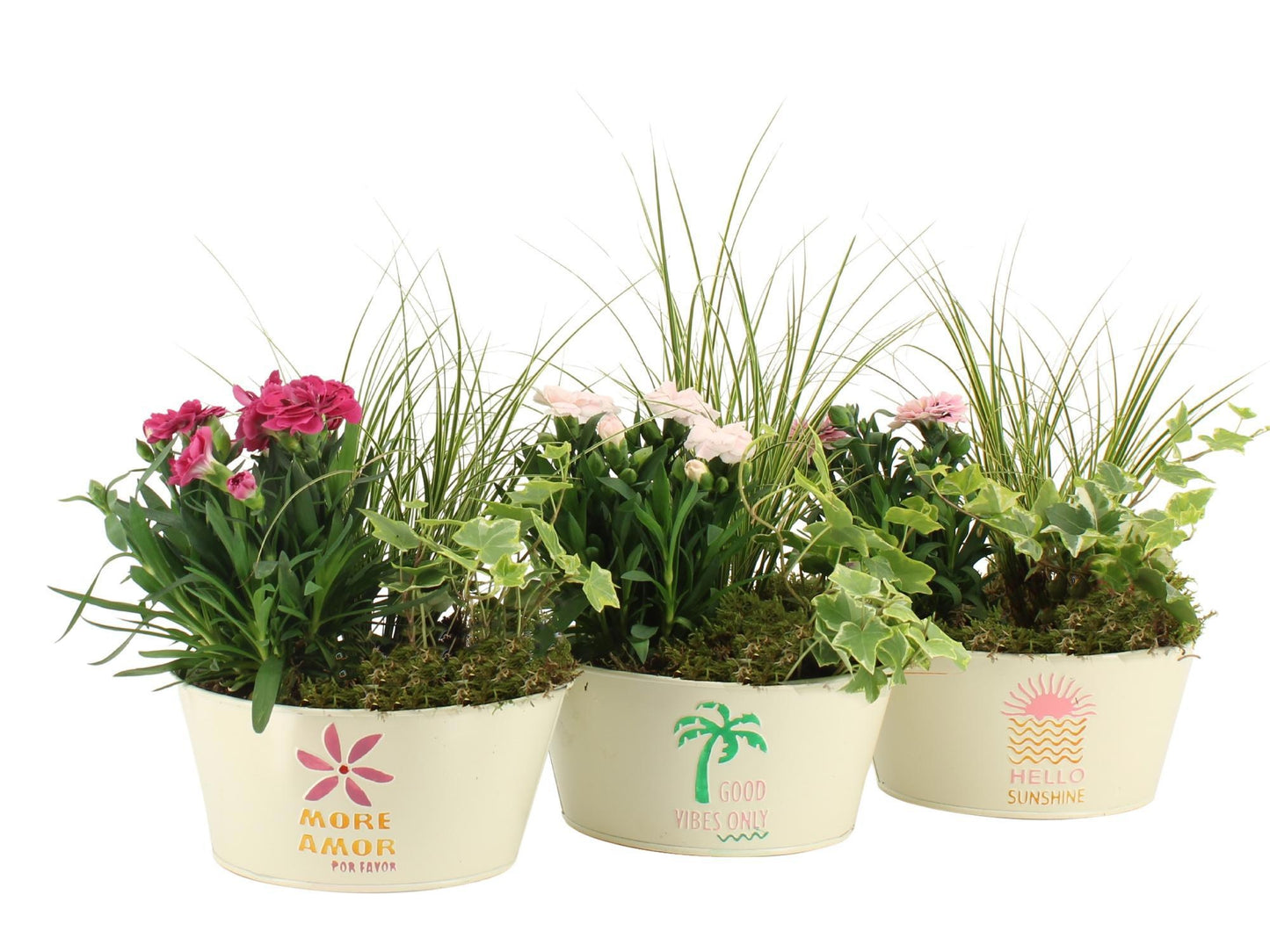 Outdoor arrangement 32cm 17cm Pot