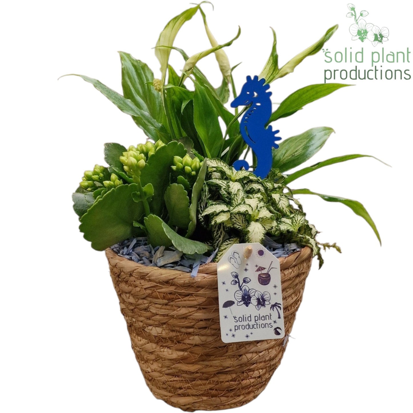 SP012 Sabine Blue Basket 38cm 13cm Pot