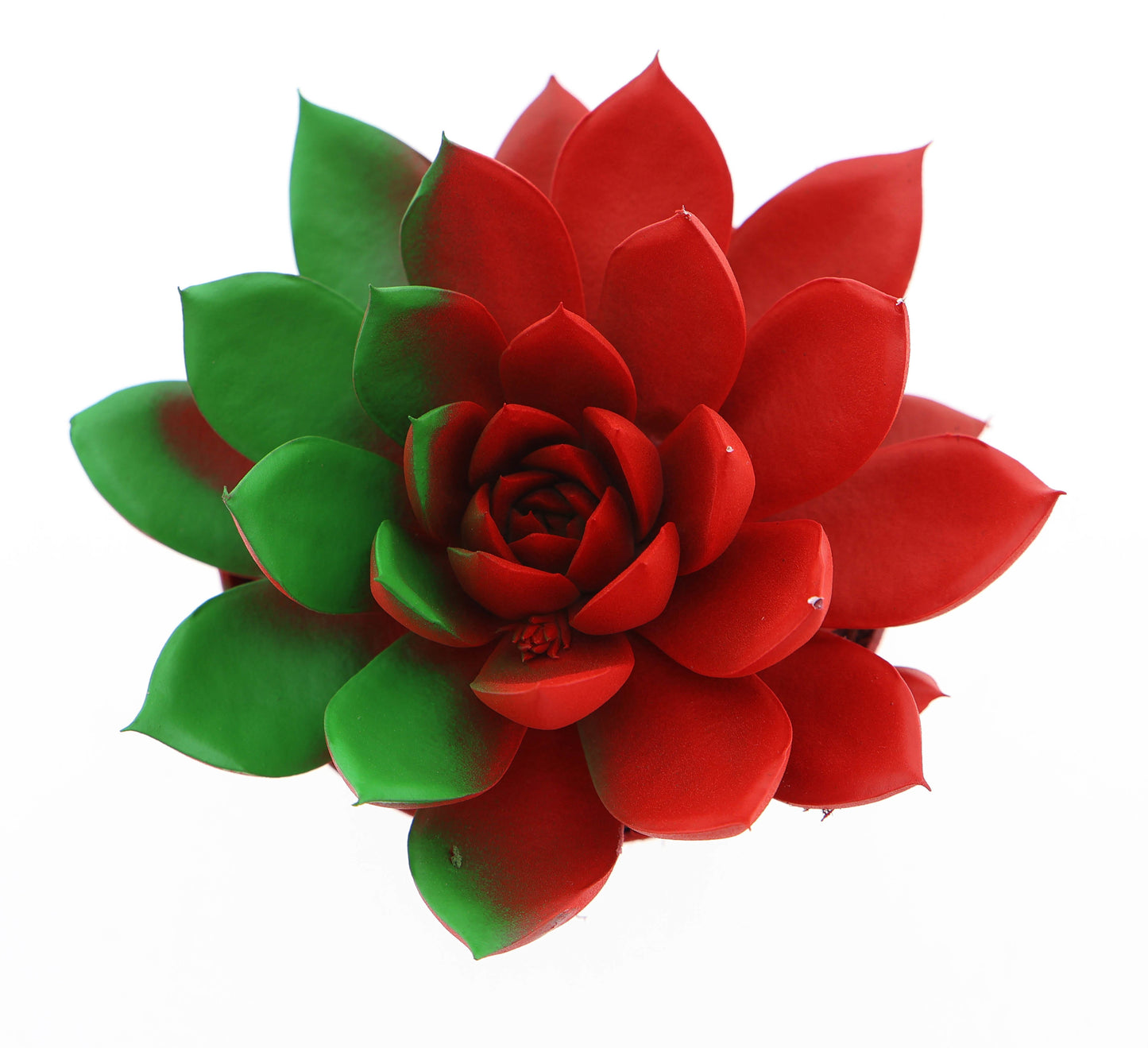 Rainbow Portugal 10cm Special Pot (508)