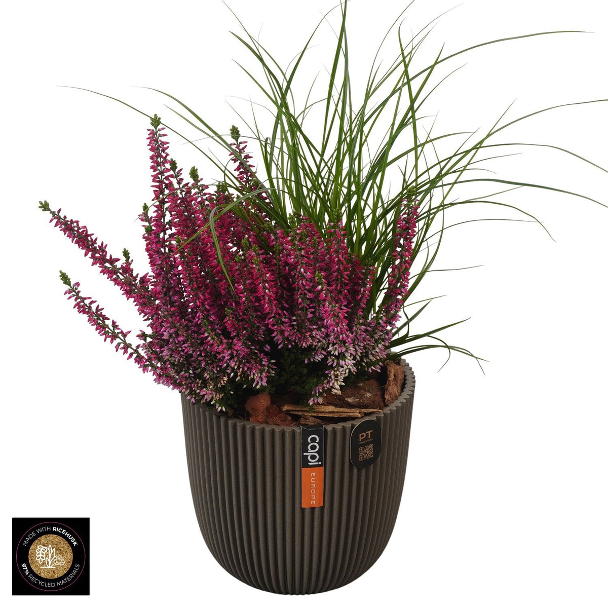 Outdoor arrangement 32cm 13cm Pot