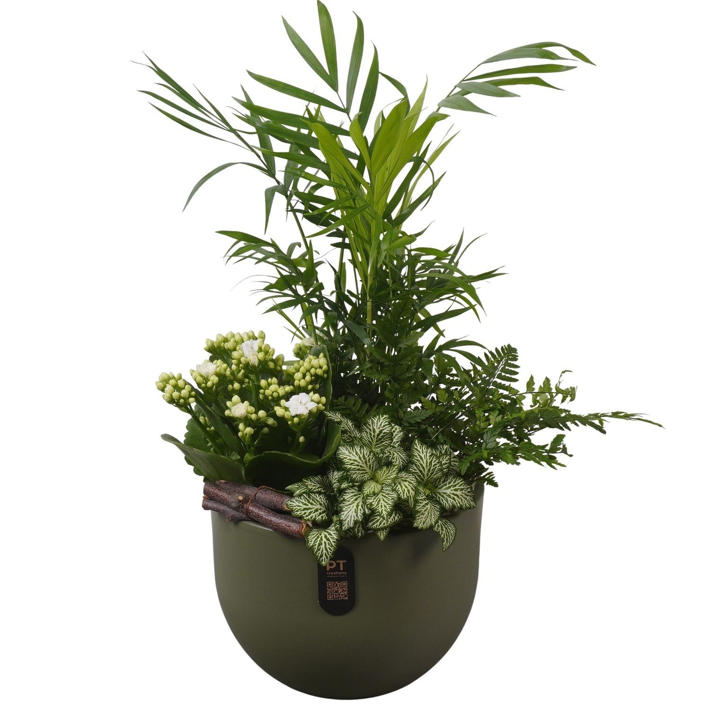 Indoor arrangement 48cm 19cm Pot