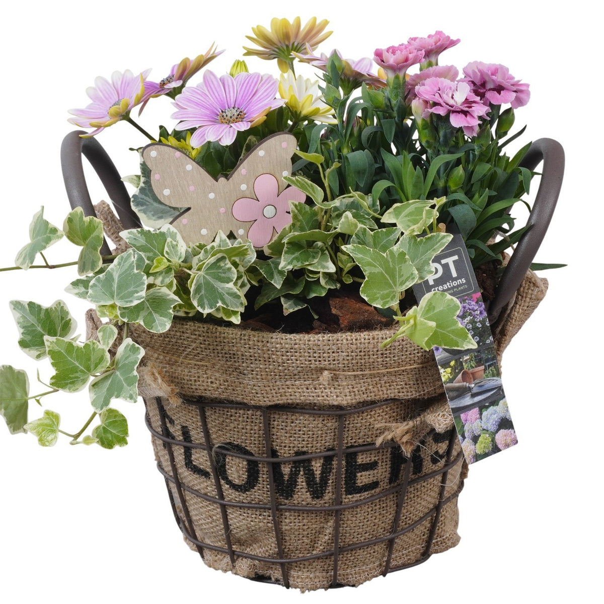 Outdoor arrangement 28cm 20cm Pot