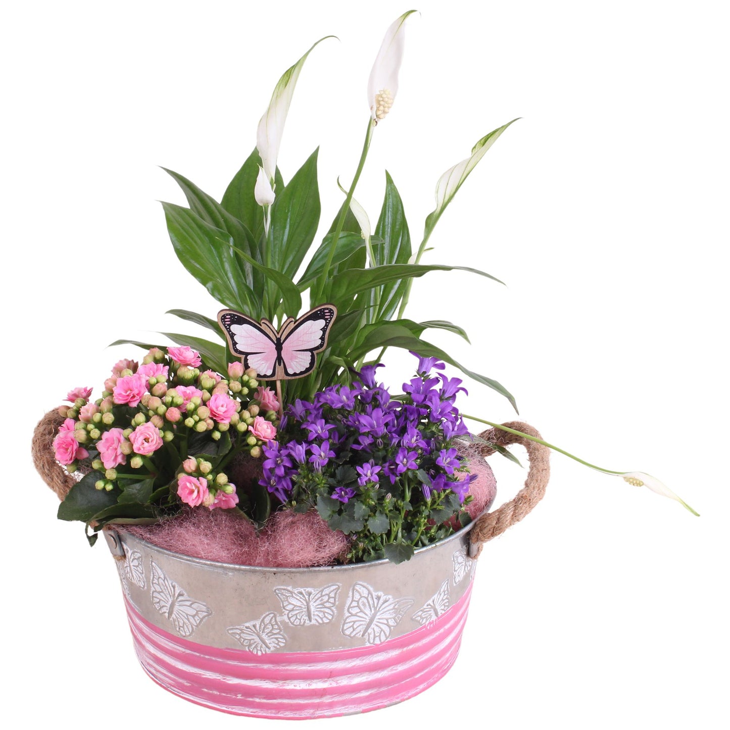 Indoor arrangement 25cm 21cm Pot