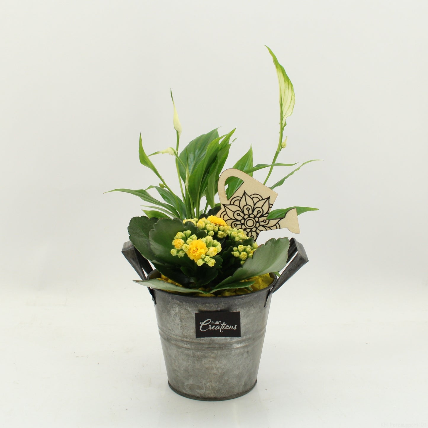 FDCR-2613G Basic Fundamentals 30cm 14cm Pot