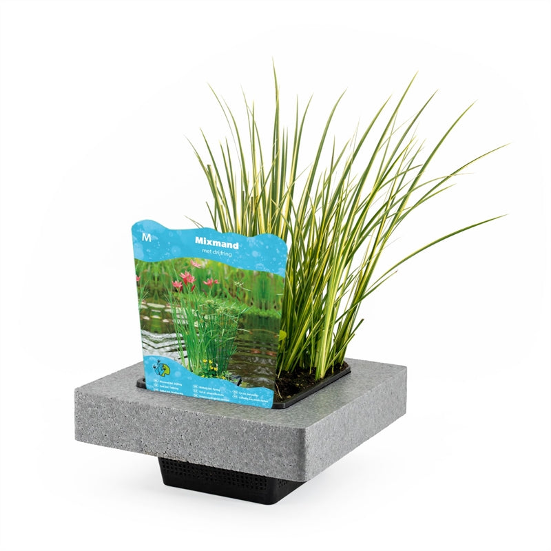 Waterplkw R. Moerings Waterplants mix Pack of 1