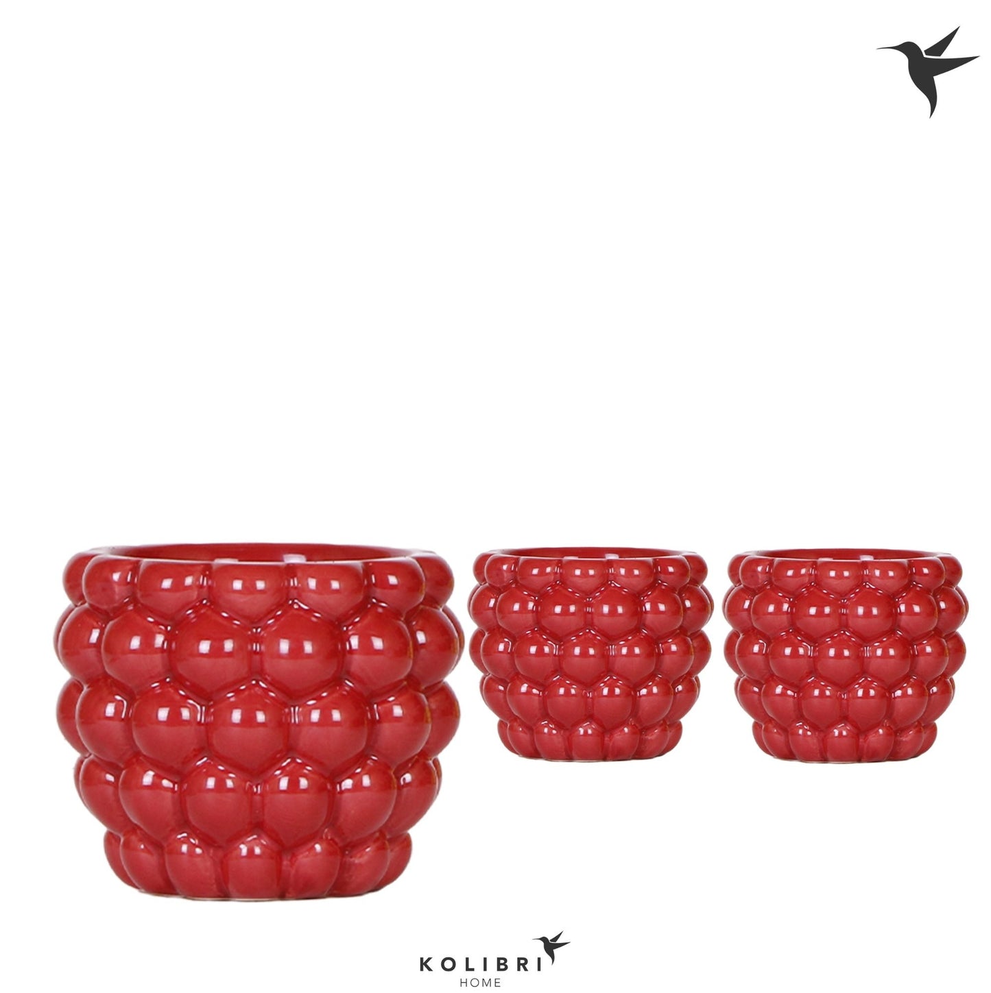 OK Plant Kolibri Home Berry pot Pack of 6