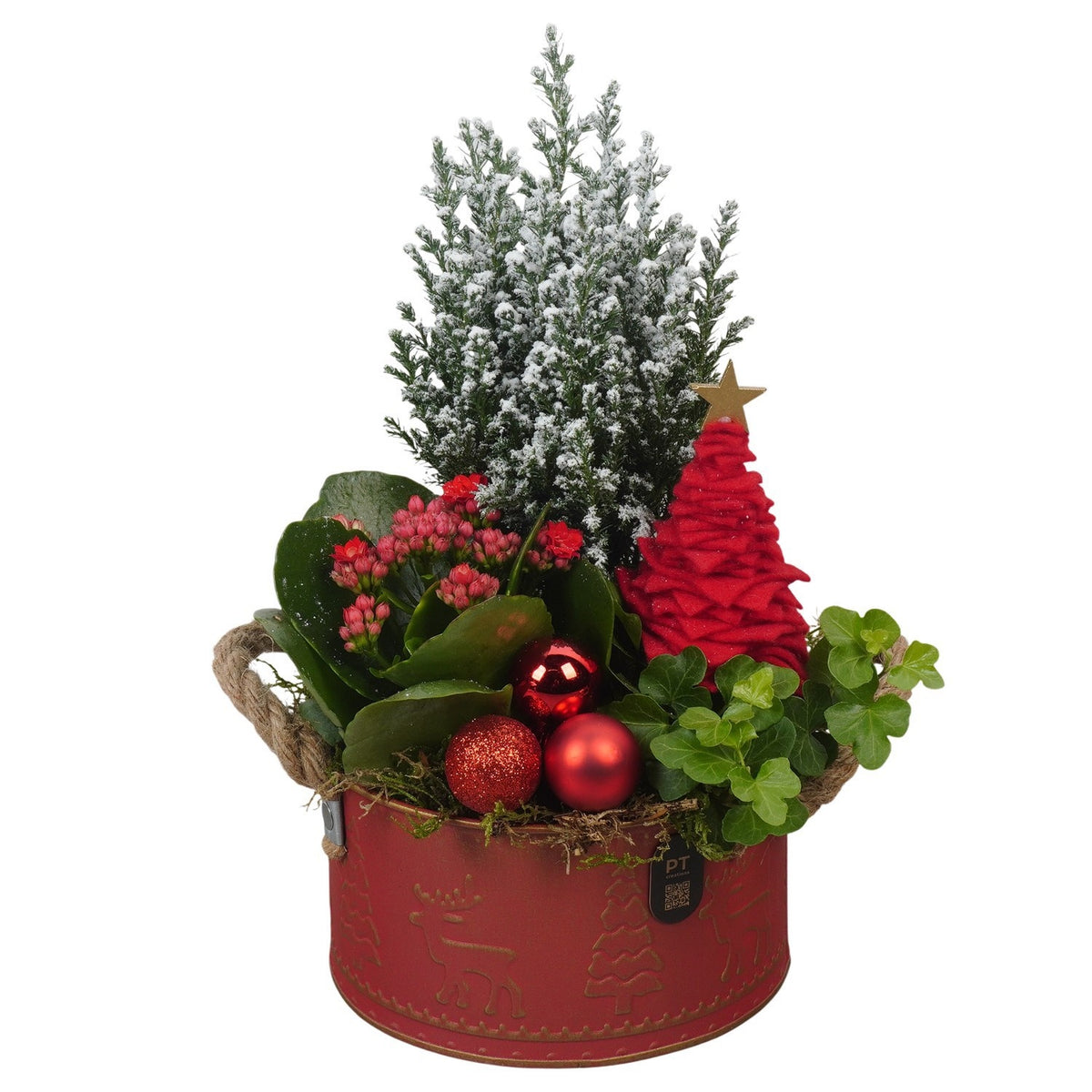 Christmas arrangement 32cm 16cm Pot