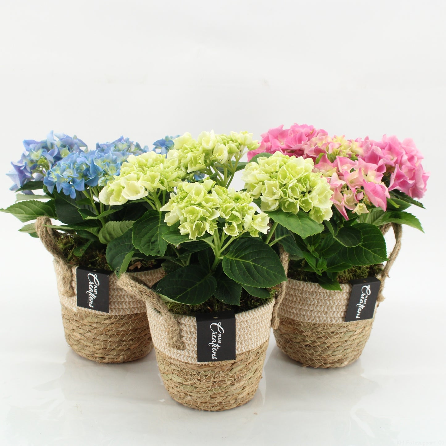 KHCR-2609M Hydrangea creations 30cm 14cm Pot