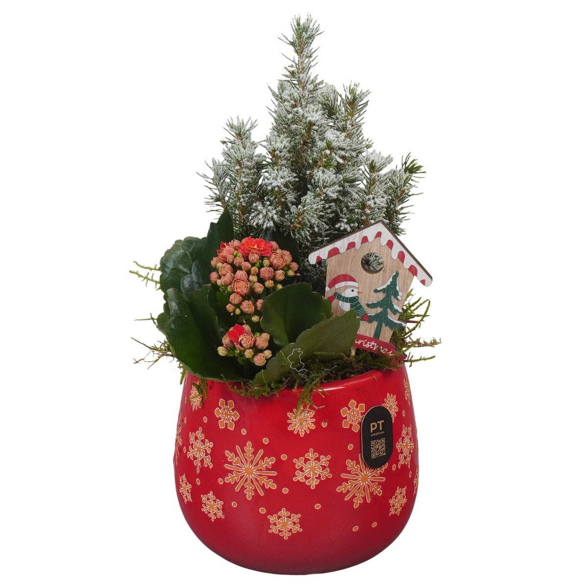 Christmas arrangement 27cm 12cm Pot