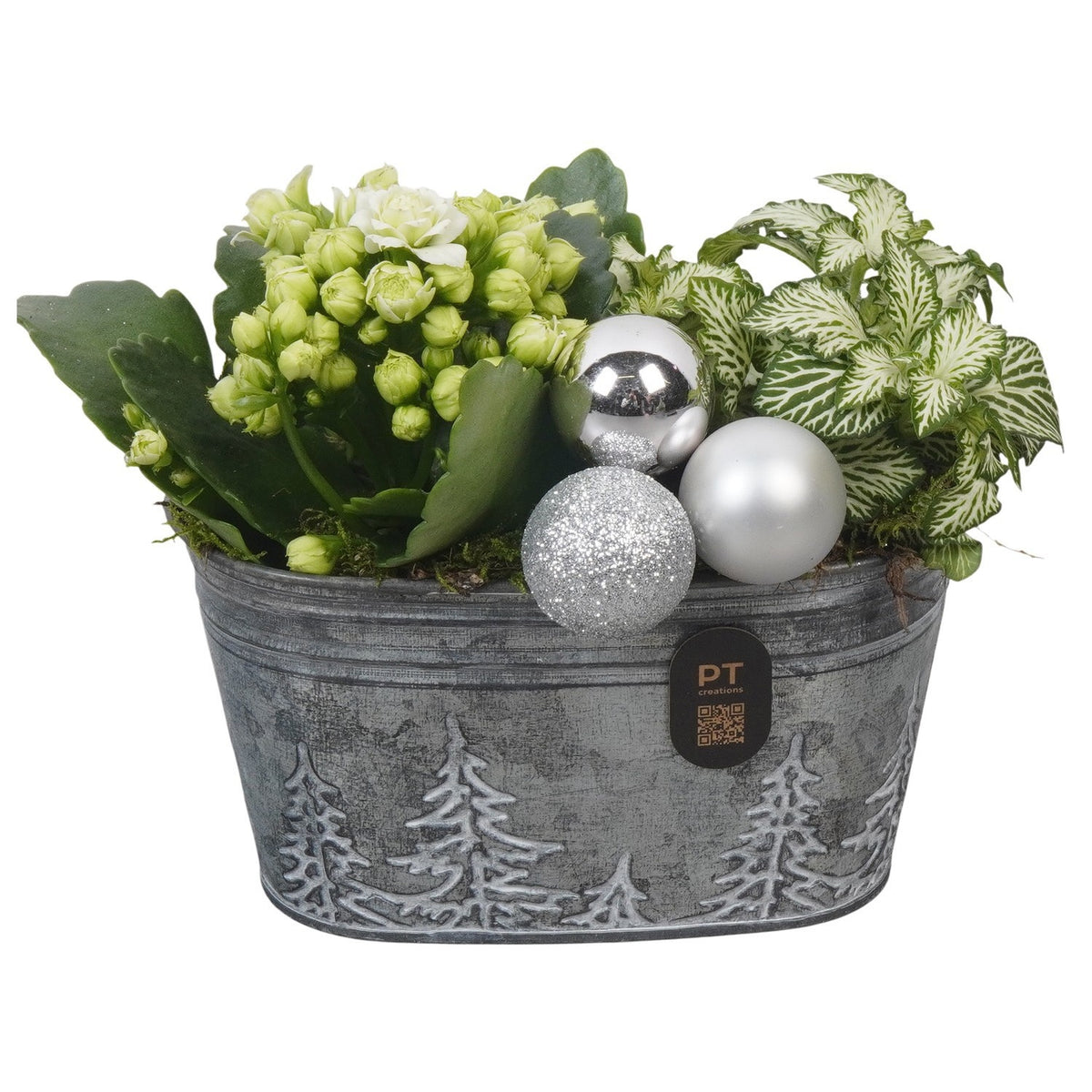 Christmas arrangement 15cm 15cm Pot
