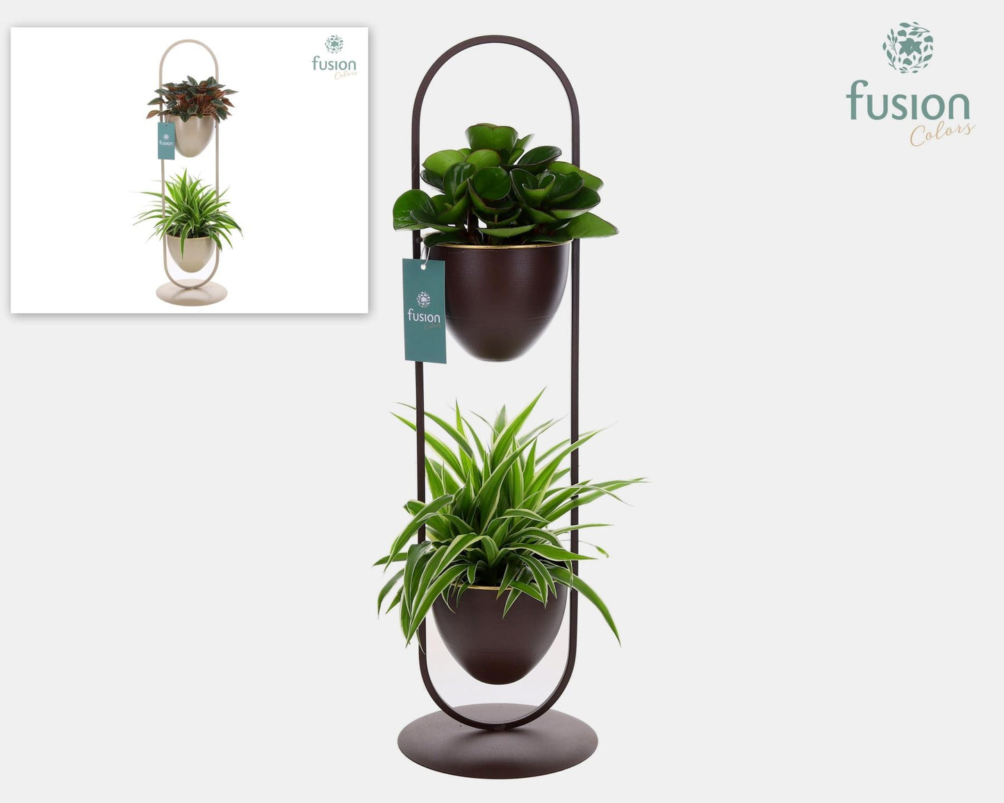 Metaal rek met 2 potten div. kleuren met groene planten 2pp 75cm 18cm Pot