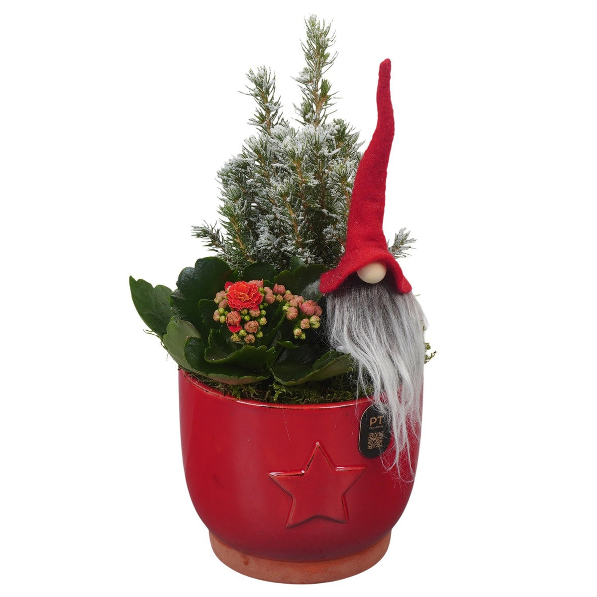 Christmas arrangement 30cm 13cm Pot