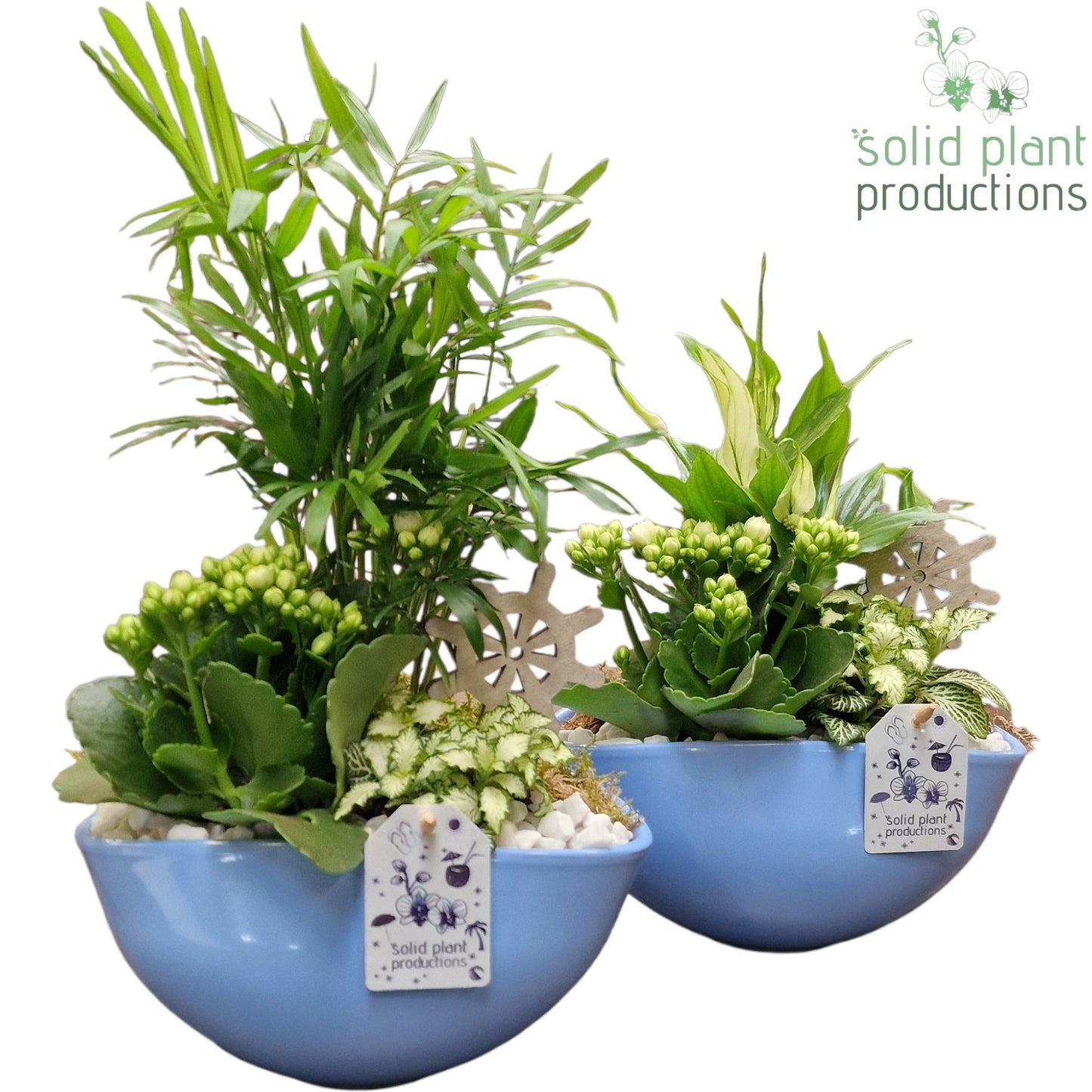 SC005 Evelyn Blue Mix 40cm 25cm Pot