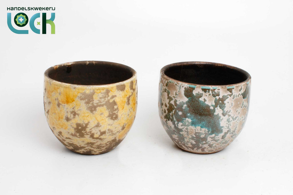 Ceramicpottery 15cm 13cm Pot