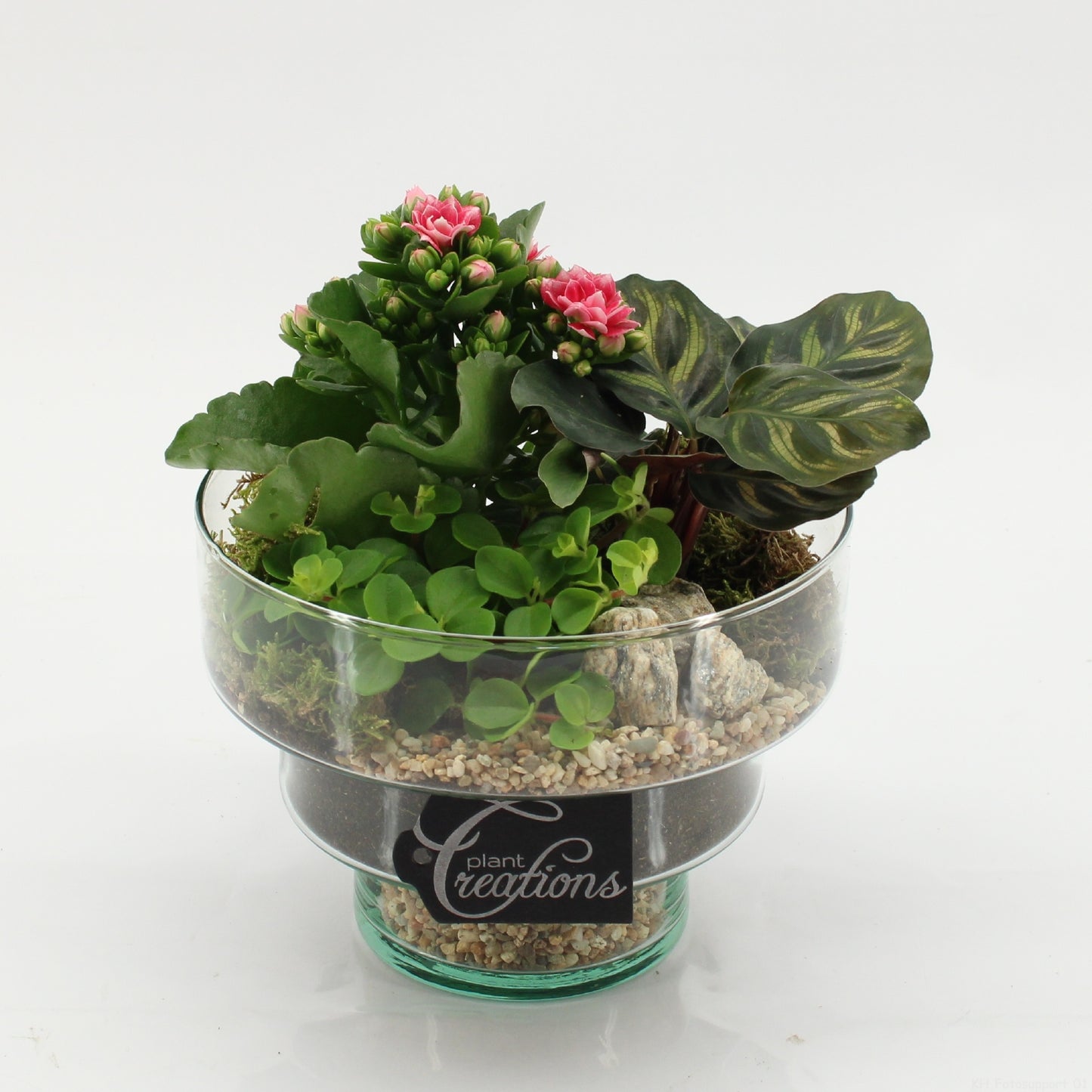 ESCR-2627RZ Essentials 20cm 17cm Pot