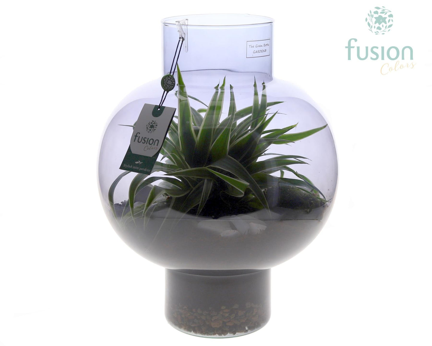 Fusioncolors BV Green Bottle Laura Large Smoky glas met Chlorophytum Pack of 1