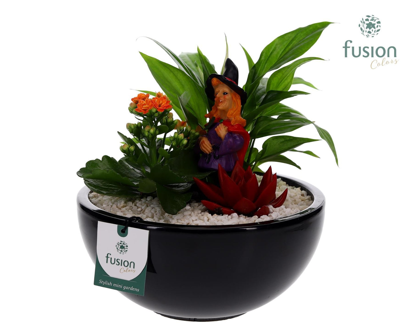 keramiek moonschaal rond zwart D23 Halloween 35cm 23cm Pot