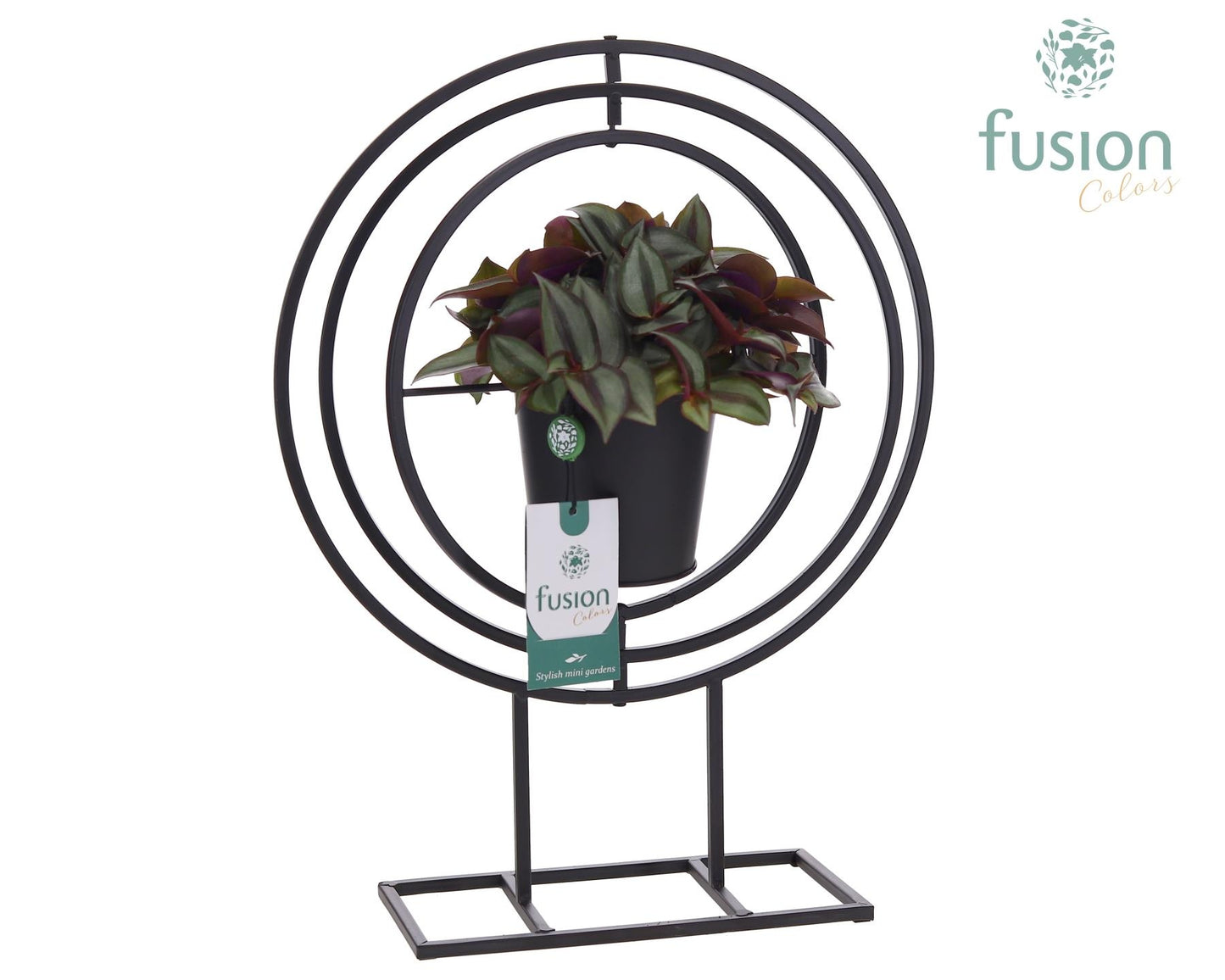 Fusioncolors BV Metaal Globe metaal zwart Large met Tradescantia Pack of 4
