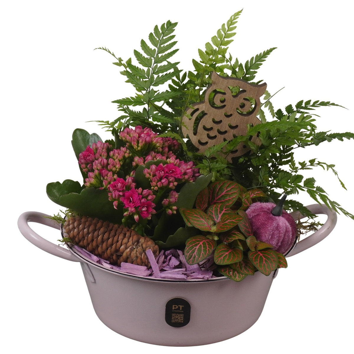 Indoor arrangement 20cm 19cm Pot