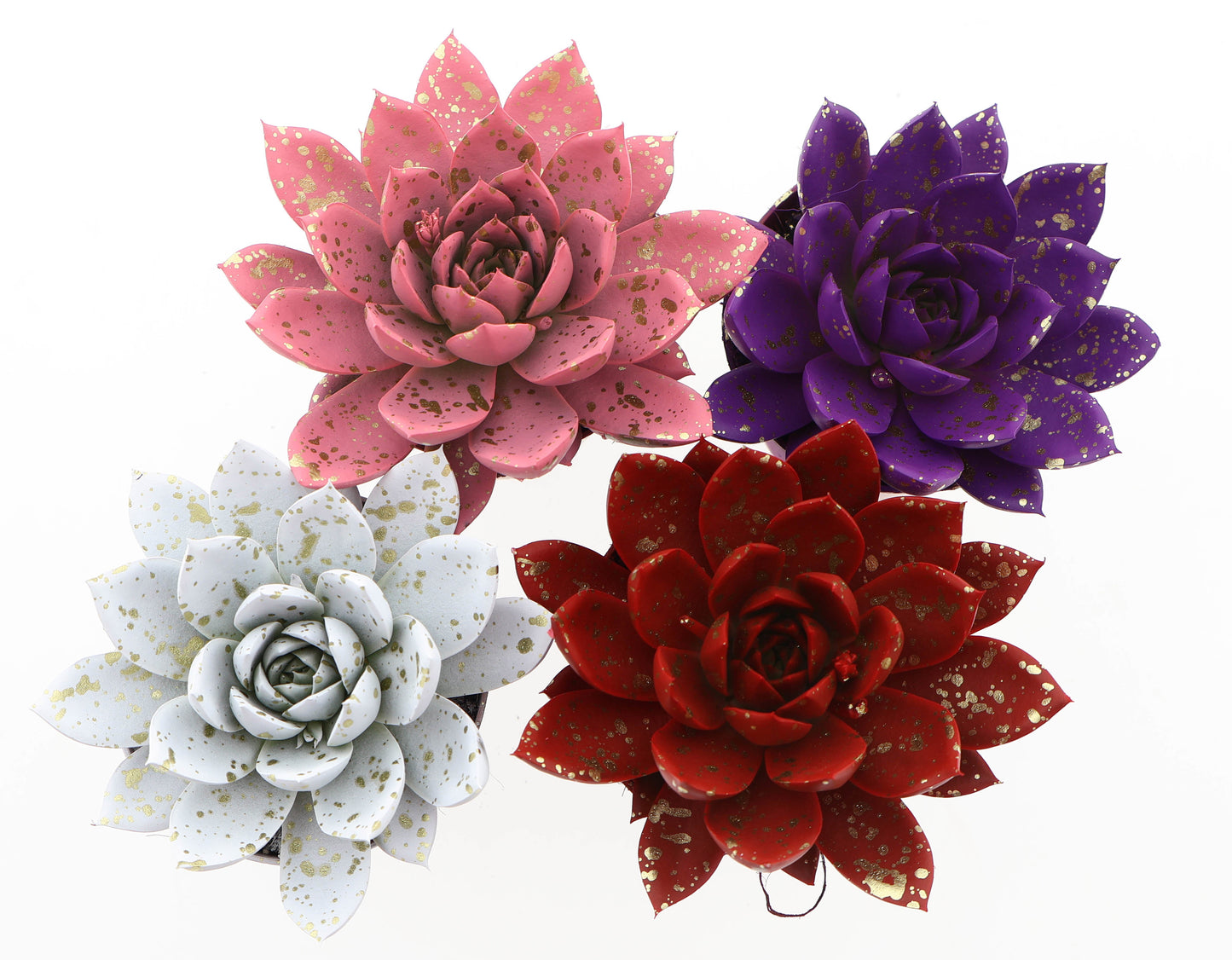 Euro Cactus Holland Bv Miranda sprinkle love mix Pack of 12