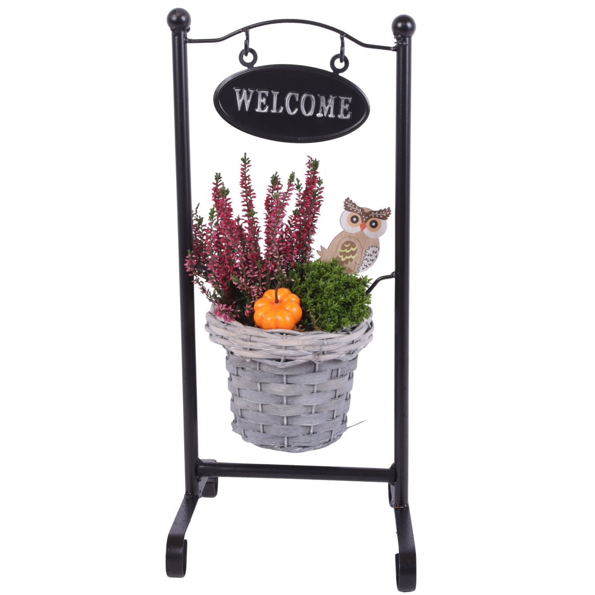 Outdoor arrangement 45cm 20cm Pot