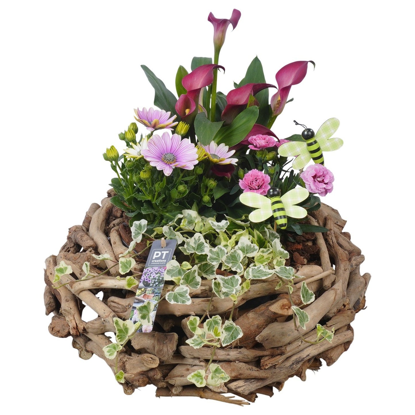 arr. PM196 40cm 40cm Pot