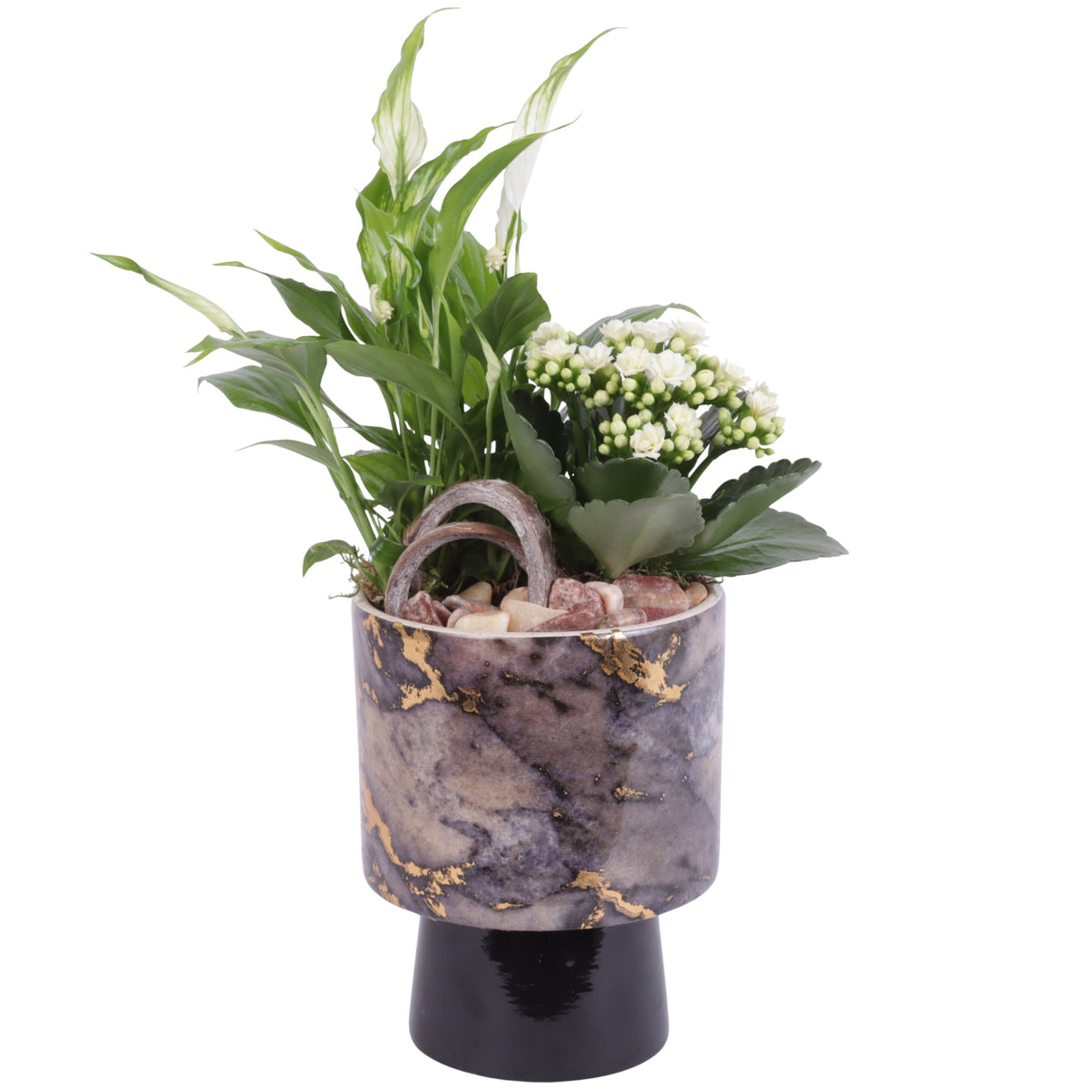 Indoor arrangement 35cm 14cm Pot