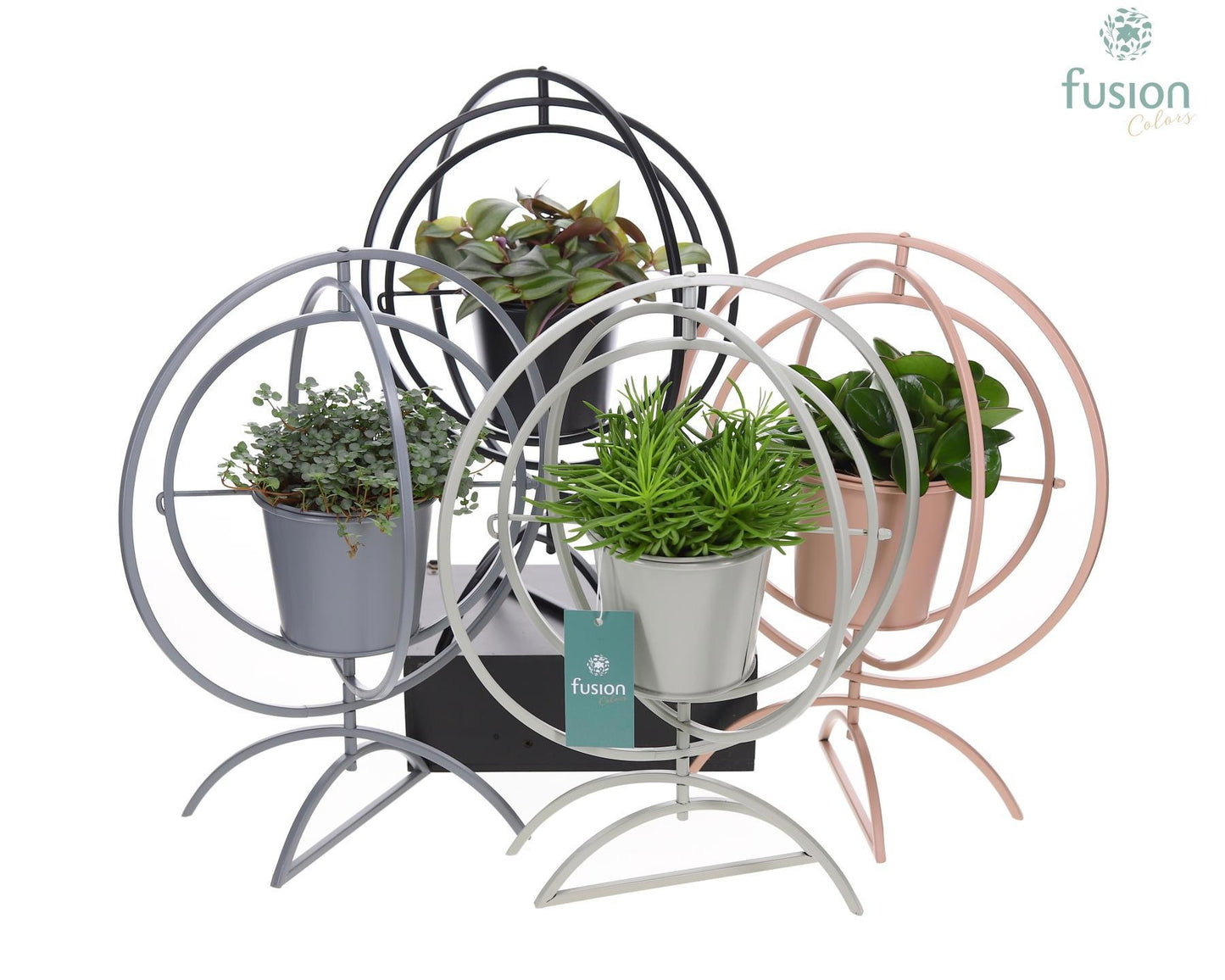 Globe metaal 4 kleuren Large met groene planten 43cm 30cm Pot