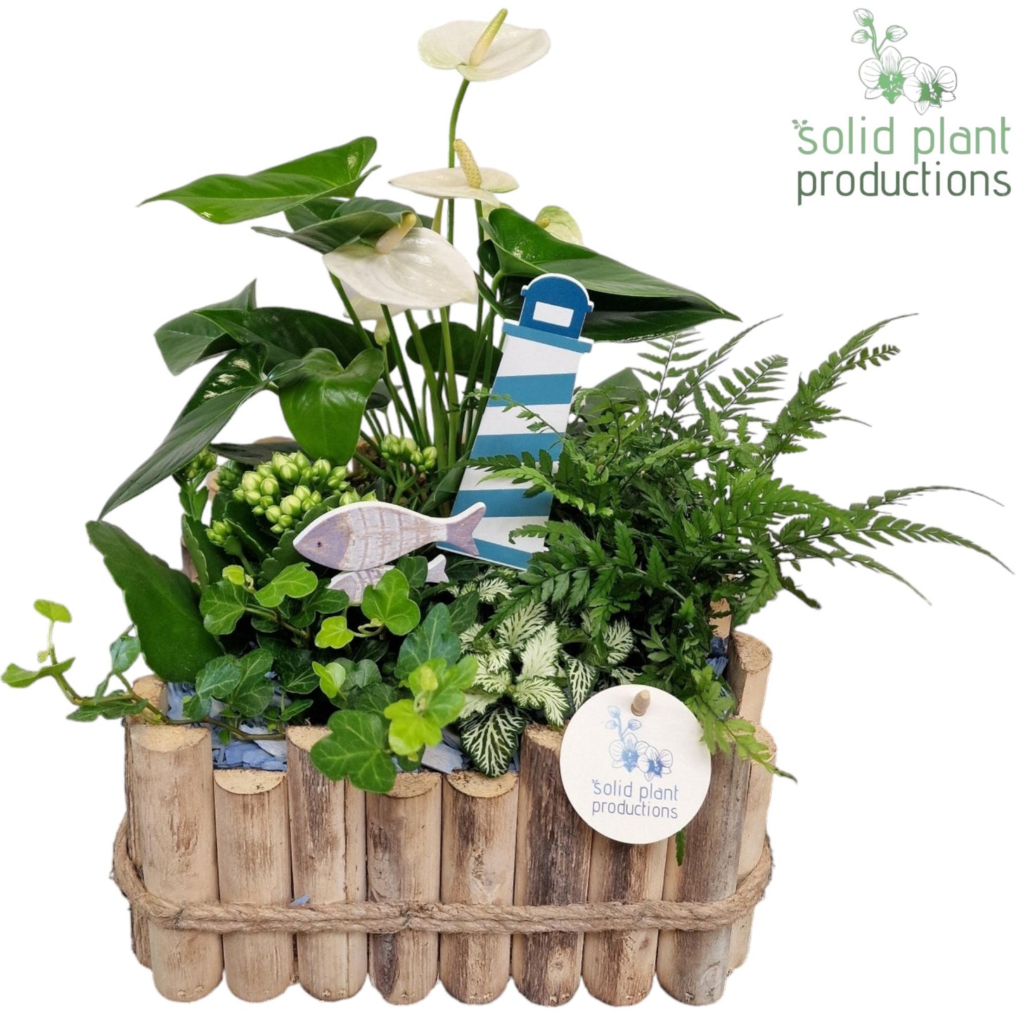 Solid Plant Productions HAT008 Verona Large Maritiem Pack of 2