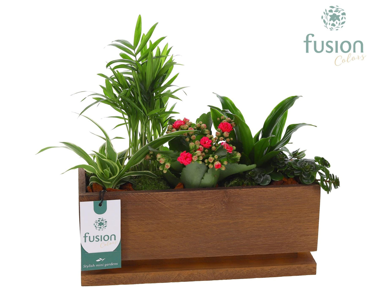 The Lighting Garden LED Medium met arrangement 25cm 29cm Pot
