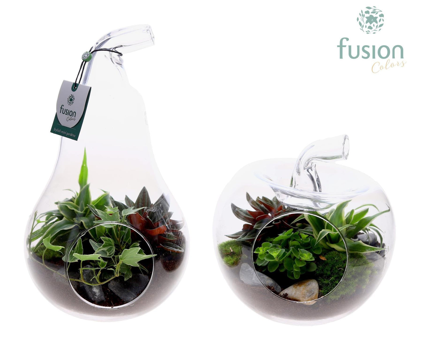 Peer en Appel glas met arrangement. 29cm 18cm Pot