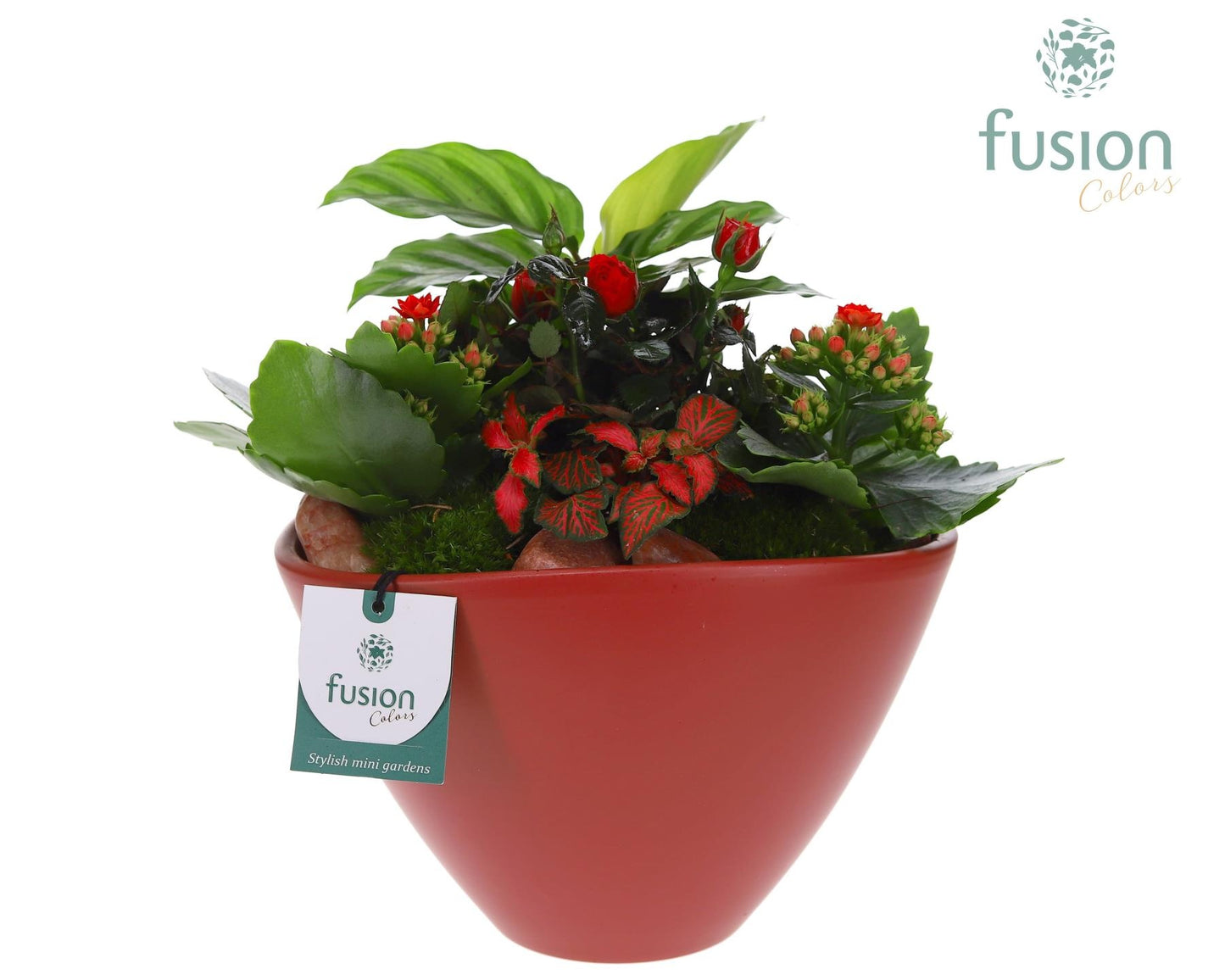 Pot keramiek Oval Large marsala red Love met arrangement 25cm 21cm Pot