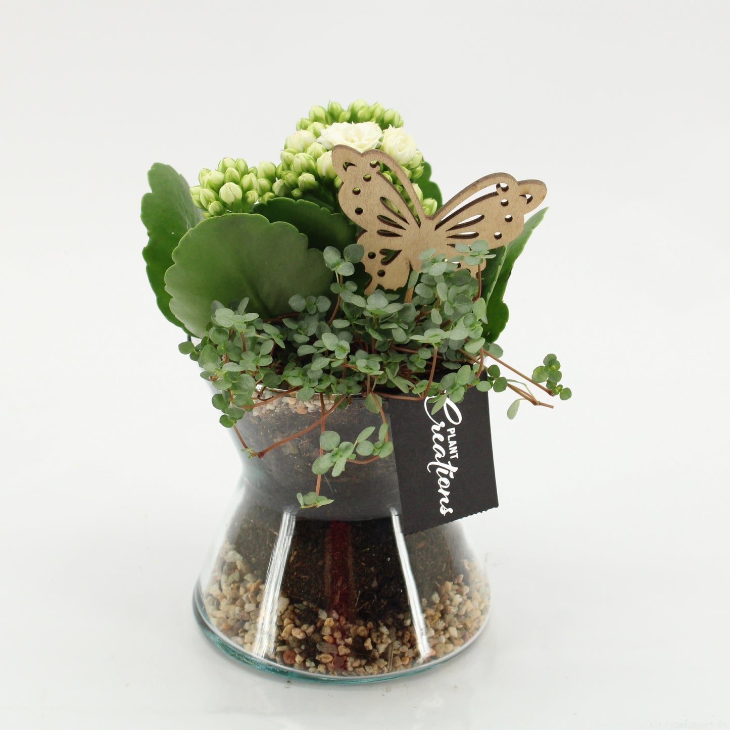 ESCR-2624W Essentials 20cm 12cm Pot