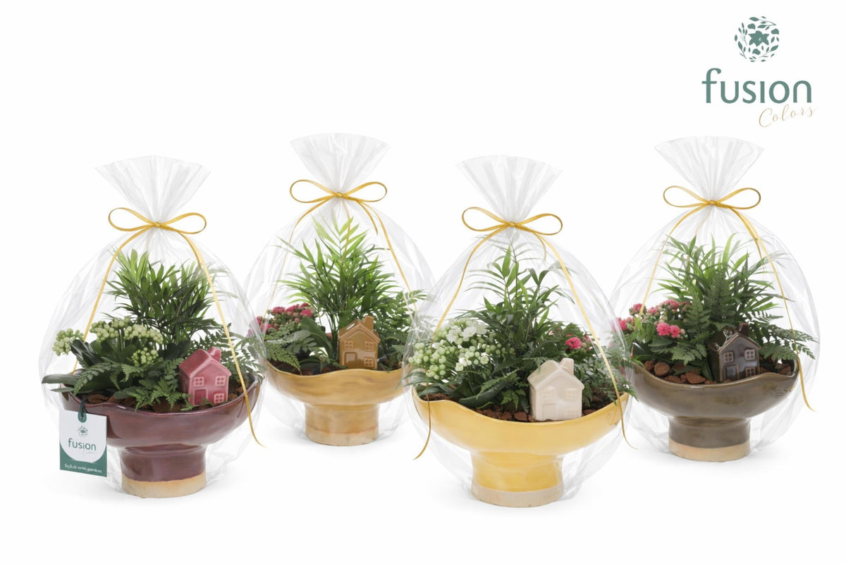 Keramiek schaal op voet Large met Arrangement in klaphoes 43cm 19cm Pot